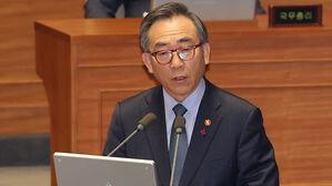 답변하는 조태열 외교부 장관(사진=연합뉴스)