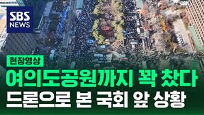"100만 명 모인다" 국회 앞에서 여의도공원까지 들어찬 인파&hellip;드론으로 본 국회 앞 상황