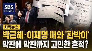 [자막뉴스] 박근혜&middot;이재명 때와 '판박이'&hellip;막판에 막판까지 고민한 흔적?