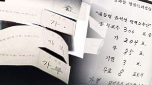 '가&middot;부' 함께 표기&hellip;무표 8표에 담긴 '복잡한 속내'