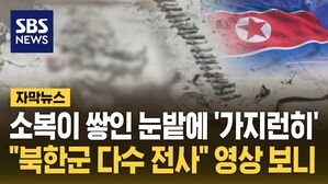 [자막뉴스] 소복이 쌓인 눈밭에 '가지런히'&hellip;"북한군 다수 전사"