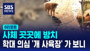 [D리포트] 사체 곳곳에 방치&hellip;학대 의심 '개 사육장' 가 보니