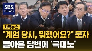 [자막뉴스] "계엄 당시, 뭐했어요?" 묻자&hellip;돌아온 답변에 '극대노'