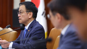 최상목 "정치 상황에 투자계획 위축 우려&hellip;기업 투자 적극 뒷받침"