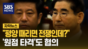 [자막뉴스] "평양 때리면 전쟁인데?"&hellip;'원점 타격'도 협의