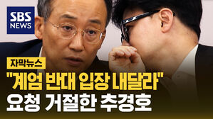 "계엄 반대 입장 내달라" 요청 거절한 추경호