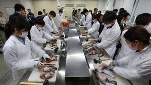 일본산 수산물 방사능 검사 (사진=연합뉴스)
