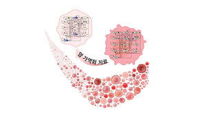 "암세포 죽이지 않고 정상세포로 되돌려 부작용 없이 치료한다"