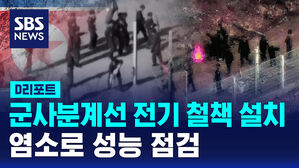 [D리포트] 북, 군사분계선 인근 전기 철책 설치&hellip;염소로 성능 점검