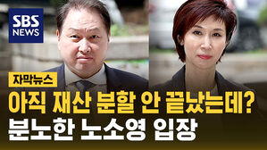 최태원, 대법원에 '이혼 확정' 재차 요구&hellip;분노한 노소영 측 입장