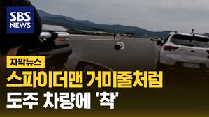 자막뉴스 스파이더맨 거미줄처럼 도주 차량에 착