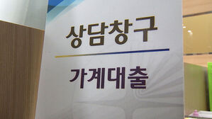 "1인당 가계대출 9500만 원 돌파"