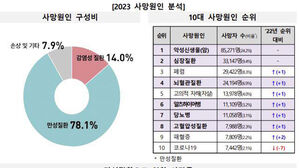 당뇨병&middot;암 등 만성질환 진료비 90조 원&hellip;사망자 27만 5천 명
