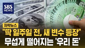 [자막뉴스] 달러 '심리적 저항선' 훌쩍 뛰어넘었다&hellip;원화 가치 하락 '가속도'