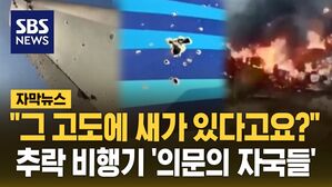 [자막뉴스] "그 고도에 새가 있다고요?"&hellip;추락 비행기 '의문의 자국들'