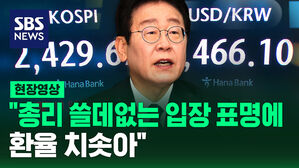 [현장영상] "총리 쓸데없는 입장 표명에 환율 치솟아"