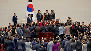 아수라장 된 국회(사진=연합뉴스)
