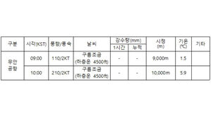 무안국제공항 사고 당시 날씨 상황 (사진=기상청 제공, 연합뉴스)