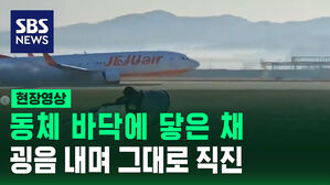[현장영상] 동체 바닥에 닿은 채&hellip;굉음 내며 그대로 직진