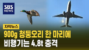 [자막뉴스] 900g 청둥오리 한 마리에&hellip;비행기는 4.8t 충격