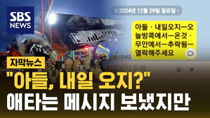 [자막뉴스] "아들, 내일 오지?"&hellip;애타는 메시지 보냈지만
