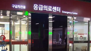 설 연휴 응급실 경증환자 지난해 대비 41% 감소