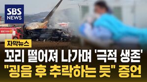 [자막뉴스] 꼬리 떨어져 나가며 '극적 생존'&hellip;"굉음 후 추락하는 듯" 증언