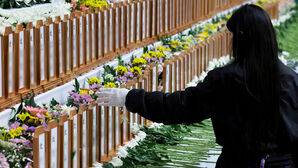 무안실내체육관에 마련된 합동분향소 찾은 추모객(사진=연합뉴스)