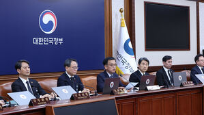 정부, 국무회의에 '내란&middot;김여사 특검법' 재의요구안 상정