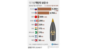 잇따라 거론되는 '한국 핵무장' 논란&hellip;새해들어 가열될까