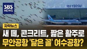 [자막뉴스] 새 떼, 콘크리트, 짧은 활주로&hellip;무안공항 '닮은 꼴' 여수공항?