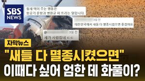 [자막뉴스] "새들 다 멸종시켰으면"&hellip;이때다 싶어 엄한 데 화풀이?