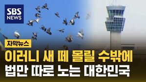 [자막뉴스] 이러니 새 떼 몰릴 수밖에&hellip;법만 따로 노는 대한민국