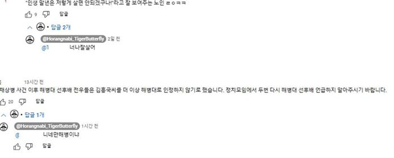 김흥국 유튜브 댓글