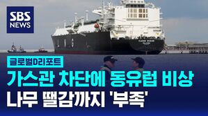 [글로벌D리포트] 가스관 차단에 동유럽 비상&hellip;나무 땔감까지