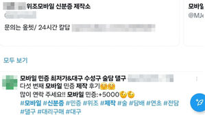 "3만 원에 만들어줍니다"&hellip;'위조 모바일 신분증' 불법 광고 기승