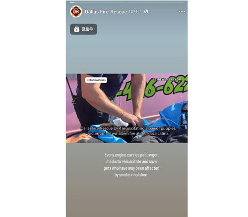 댈러스 쇼핑몰 화재서 구조된 동물 치료하는 소방관 (사진=댈러스 소방서 페이스북 캡처, 연합뉴스)