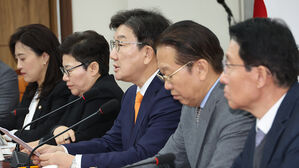 권성동 "권한대행 체제 안정성 확보된 뒤 탄핵 결과 나와야"