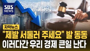[자막뉴스] "제발 서둘러 주세요" 발 동동&hellip;지금 우리 경제 걸림돌은