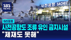 [D리포트] 사천공항도 조류 유인 금지시설 '수두룩'&hellip;"제재도 못해"