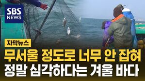 [자막뉴스] 무서울 정도로 너무 안 잡혀&hellip;정말 심각하다는 바다