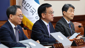 최상목 권한대행 "설 명절 대책, 당과 협의해 곧 발표"