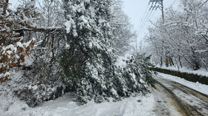 "10일까지 전라&middot;충남 최대 40㎝ 대설"&hellip;관계기관 대책회의