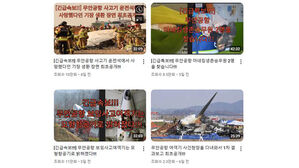 "제주항공 참사는 가짜"&middot;'계엄 상장'&hellip;큰일 날 사람들