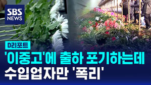 [D리포트] 출하 포기하는 화훼농가들 '이중고'&hellip;수입업자만 폭리