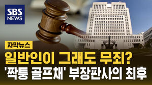 [자막뉴스] '짝퉁 골프채' 받고 사건 조회한 부장판사, 대법서 무죄