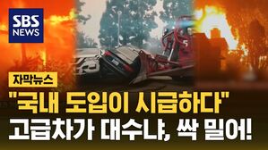 [자막뉴스] "국내 도입이 시급하다"&hellip;고급차가 대수냐, 싹 밀어!