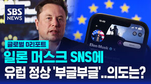 [글로벌D리포트] '일론 머스크 SNS'에 유럽 정상 '부글부글'&hellip;의도는?