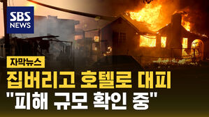 [자막뉴스] 집 버리고 호텔로&hellip;LA 한인타운 "피해 규모 확인 중"