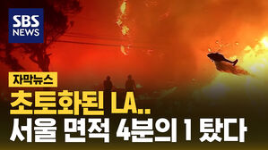 초토화된 LA.. 서울 면적 4분의 1 탔다